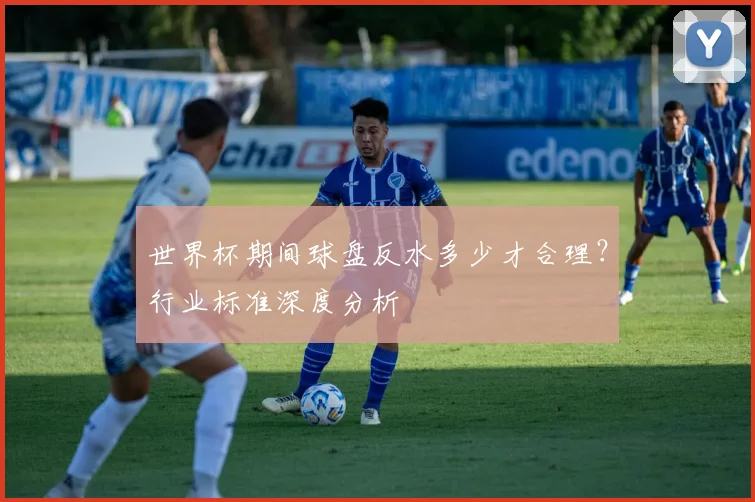 世界杯期间球盘反水多少才合理？行业标准深度分析