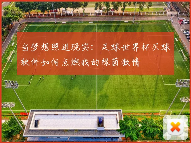 当梦想照进现实：足球世界杯买球软件如何点燃我的绿茵激情