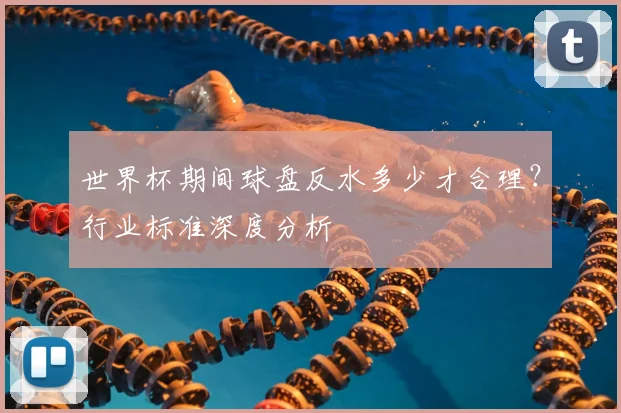 世界杯期间球盘反水多少才合理？行业标准深度分析