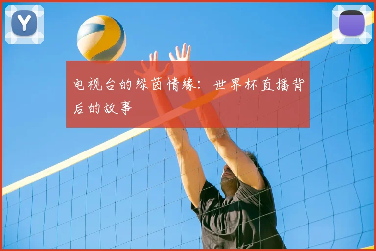 电视台的绿茵情缘：世界杯直播背后的故事